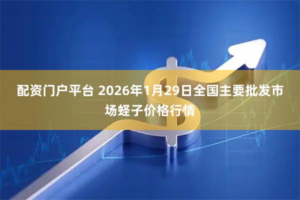 配资门户平台 2026年1月29日全国主要批发市场蛏子价格行情